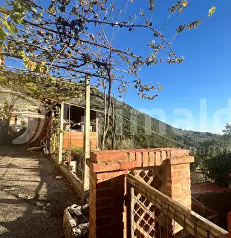 Foto annuncio 26