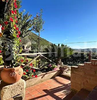 Foto annuncio 24
