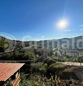 Foto annuncio 19