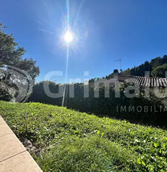 Foto annuncio 31