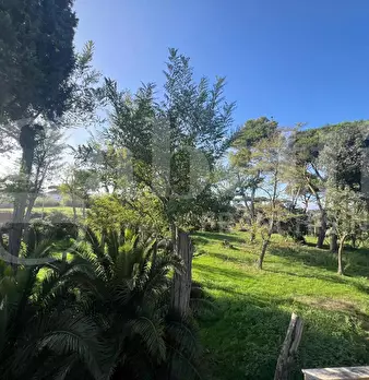 Foto annuncio 12