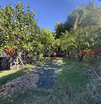 Foto annuncio 5