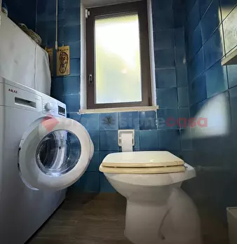 Foto annuncio 30