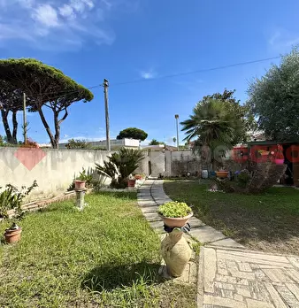 Foto annuncio 39