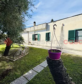 Foto annuncio 43