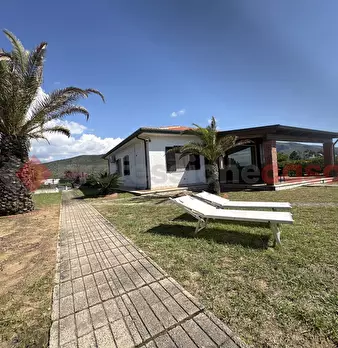 Foto annuncio 1