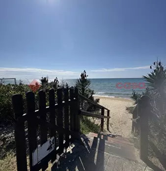 Foto annuncio 35