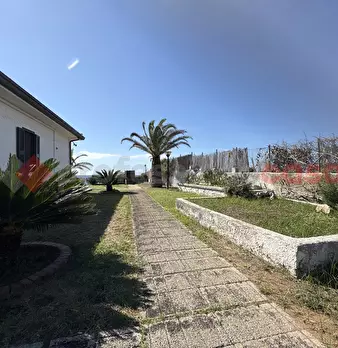 Foto annuncio 8