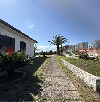 Foto annuncio 9