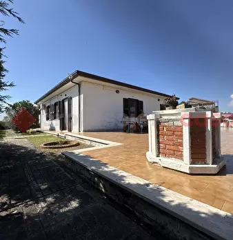 Foto annuncio 33