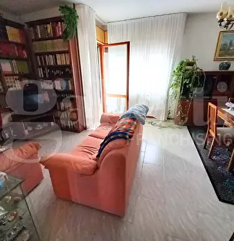 Foto annuncio 6