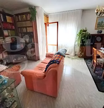 Foto annuncio 7