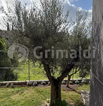 Foto annuncio 22