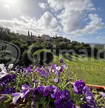 Foto annuncio 20