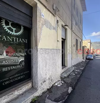 Foto annuncio 7
