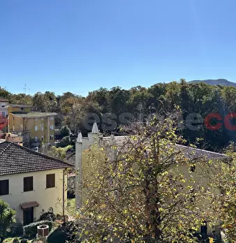 Foto annuncio 30
