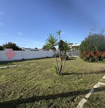 Foto annuncio 40