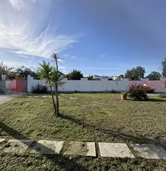 Foto annuncio 41