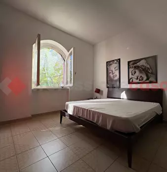 Foto annuncio 29