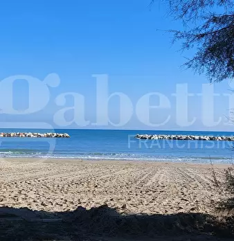 Foto annuncio 28