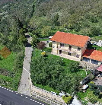 Foto annuncio 2