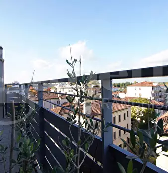 Foto annuncio 12
