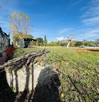 Foto annuncio 18