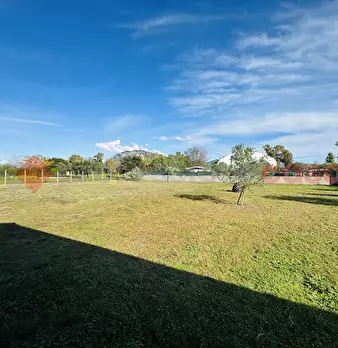 Foto annuncio 29