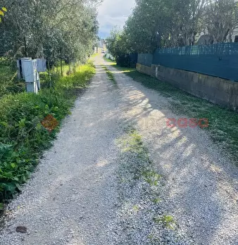 Foto annuncio 48