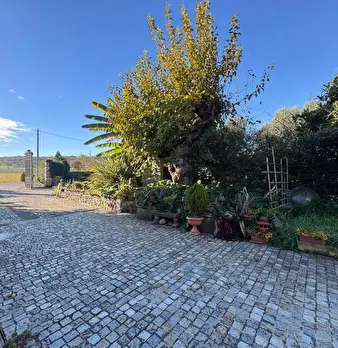 Foto annuncio 28