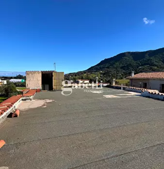 Foto annuncio 20