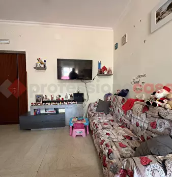 Foto annuncio 12