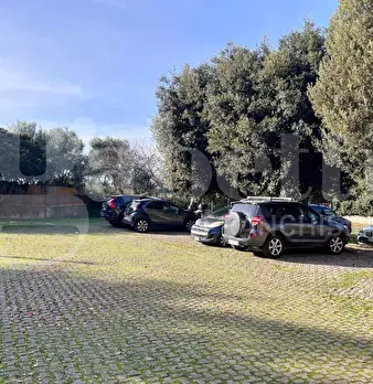 Foto annuncio 41