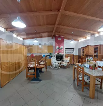 Foto annuncio 10