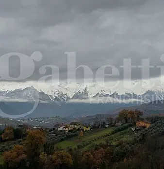 Foto annuncio 16