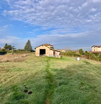 Foto annuncio 4
