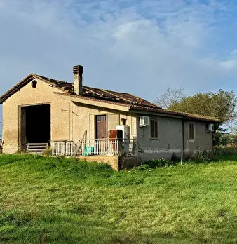 Foto annuncio 3
