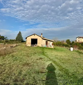 Foto annuncio 6