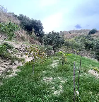 Foto annuncio 40
