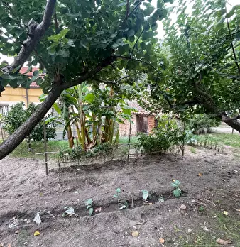 Foto annuncio 31