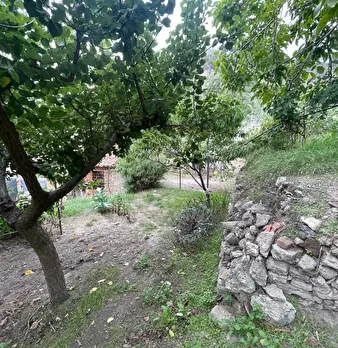 Foto annuncio 32