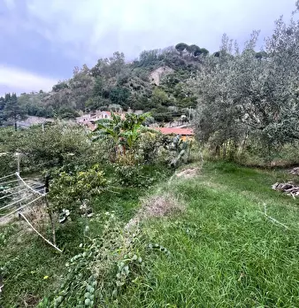 Foto annuncio 37
