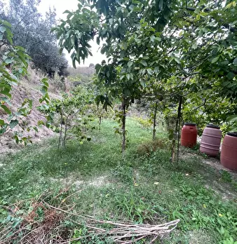 Foto annuncio 39