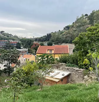 Foto annuncio 41