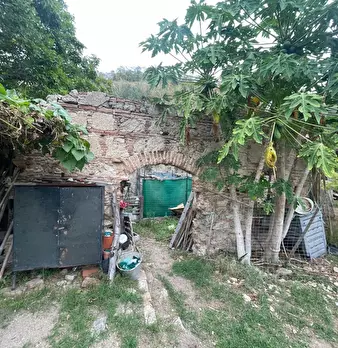 Foto annuncio 44