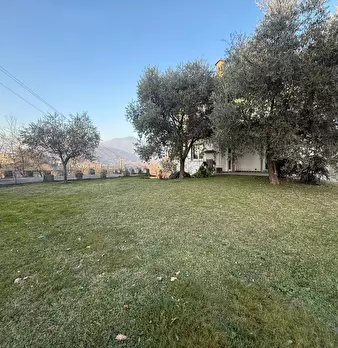 Foto annuncio 5