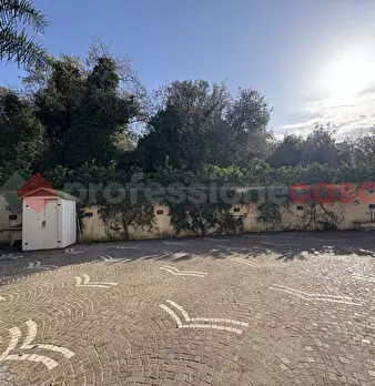 Foto annuncio 43