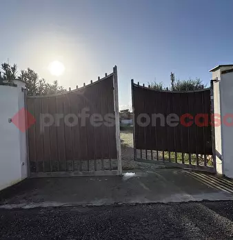 Foto annuncio 32