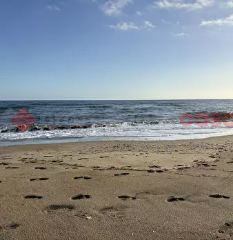 Foto annuncio 34