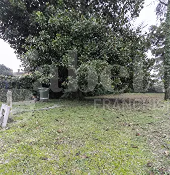 Foto annuncio 28